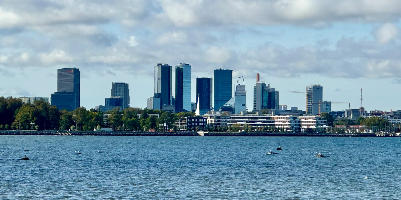 Tallinna linnasiluett, vanalinna tornid ja kõrghooned